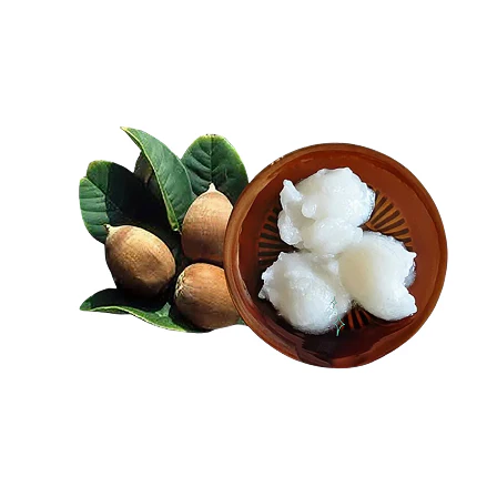 Babassu Oil